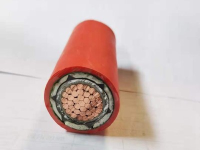 大受市場歡迎的礦物質(zhì)電纜什么時候開始用的？
