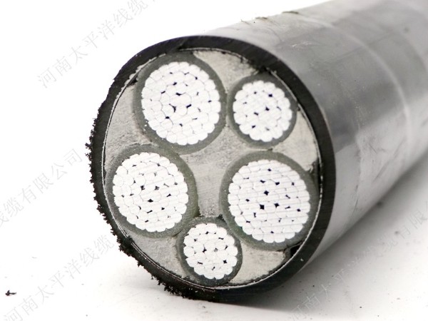 通常用的電力電纜中，鎧裝電纜價(jià)格要比普通電纜的貴一點(diǎn)，不僅如此，控制電纜和其他類型的電纜中，鎧裝電纜價(jià)格都會(huì)比普通電纜的貴，那么憑什么呢？